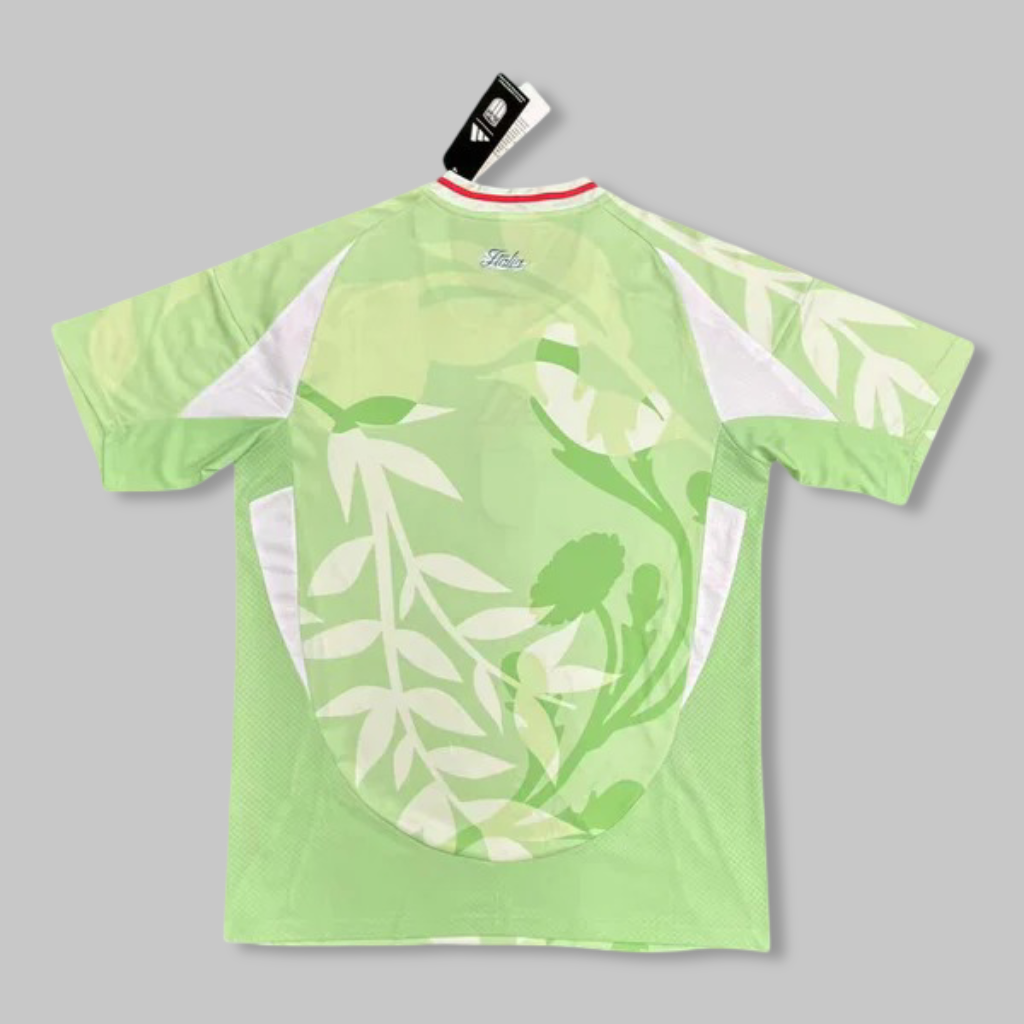Italy 24/25 Away Kit
