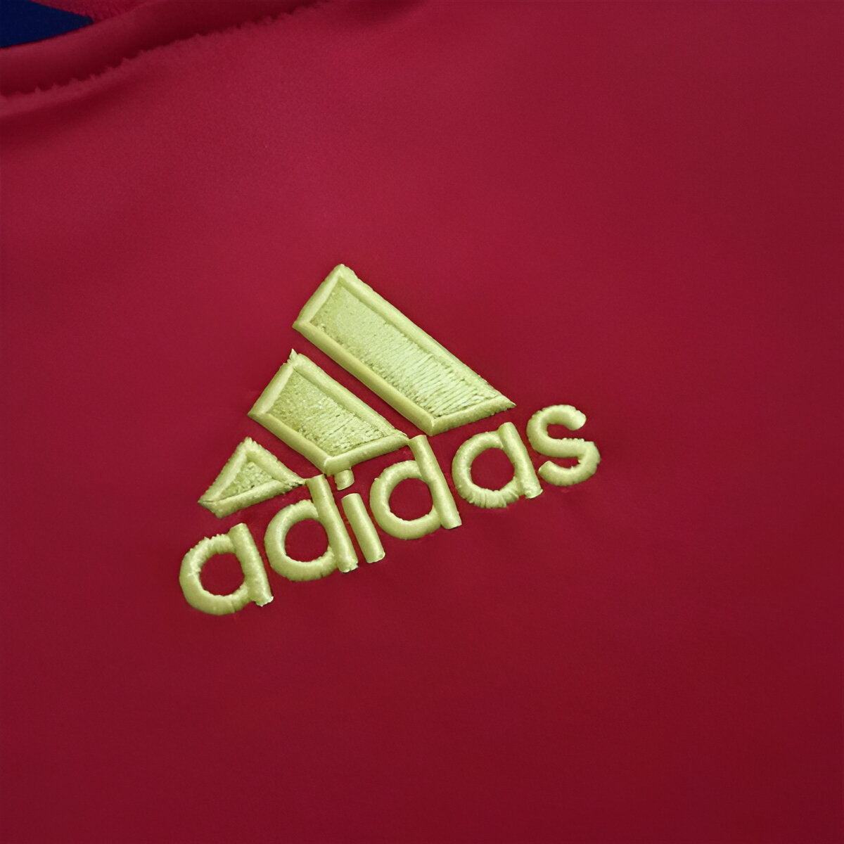 Spain 2010 Home Retro Kit
