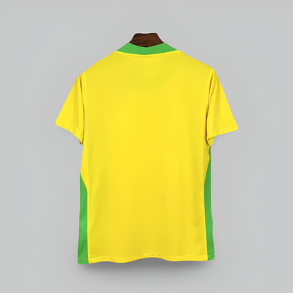 Brazil 25/26 Home Kit