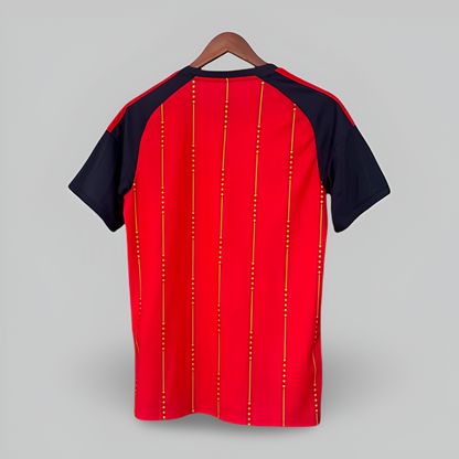 Spain World Cup 2026 Home