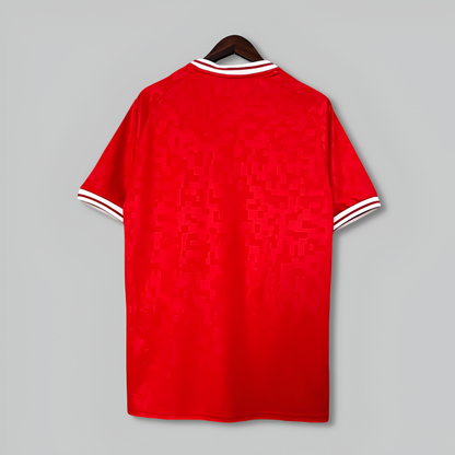 Denmark 24/25 Home Kit