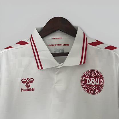 Denmark 24/25 Away Kit