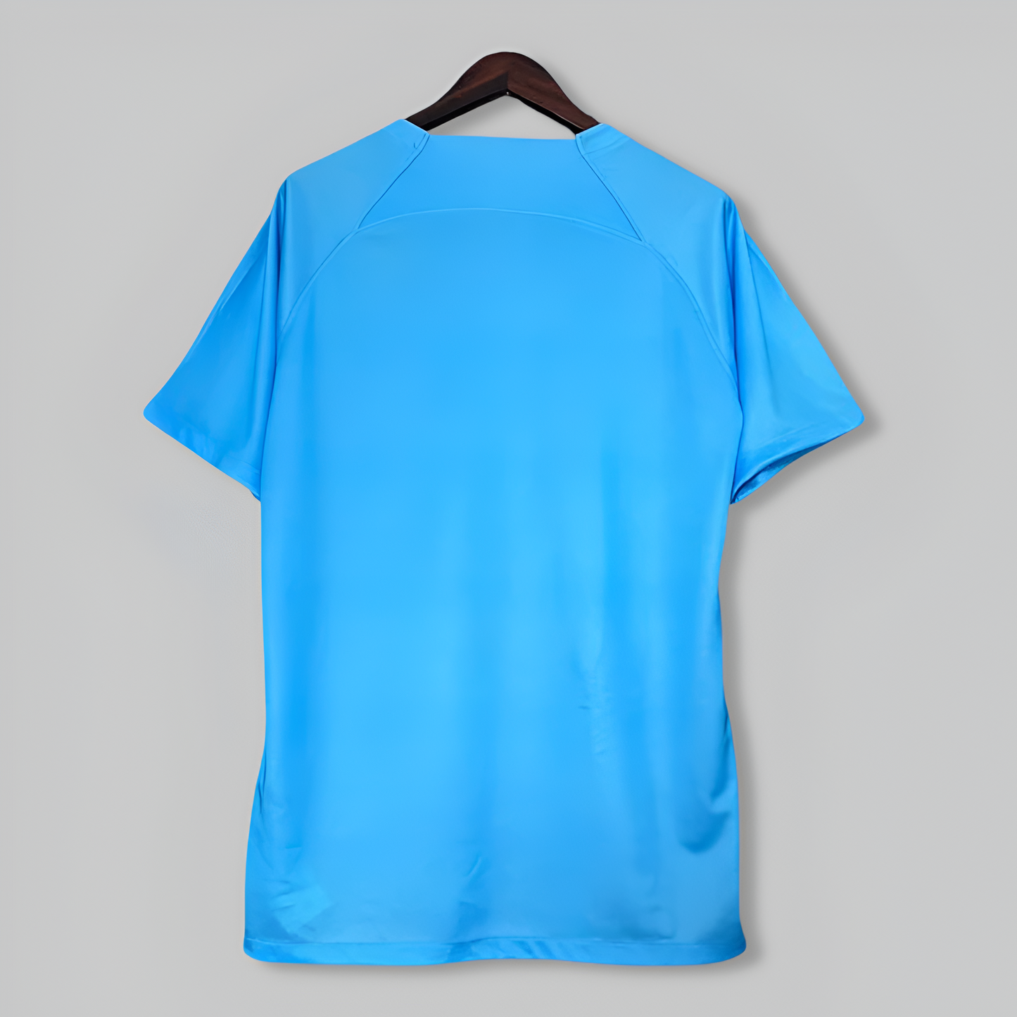 Netherlands 25/26 "Ice Lion" Premium Kit