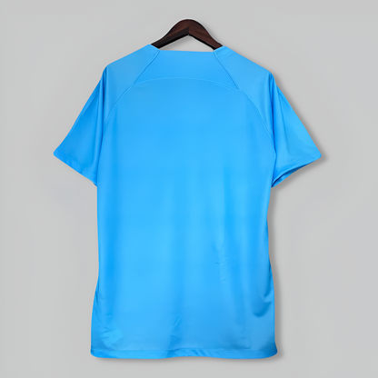 Netherlands 25/26 "Ice Lion" Premium Kit