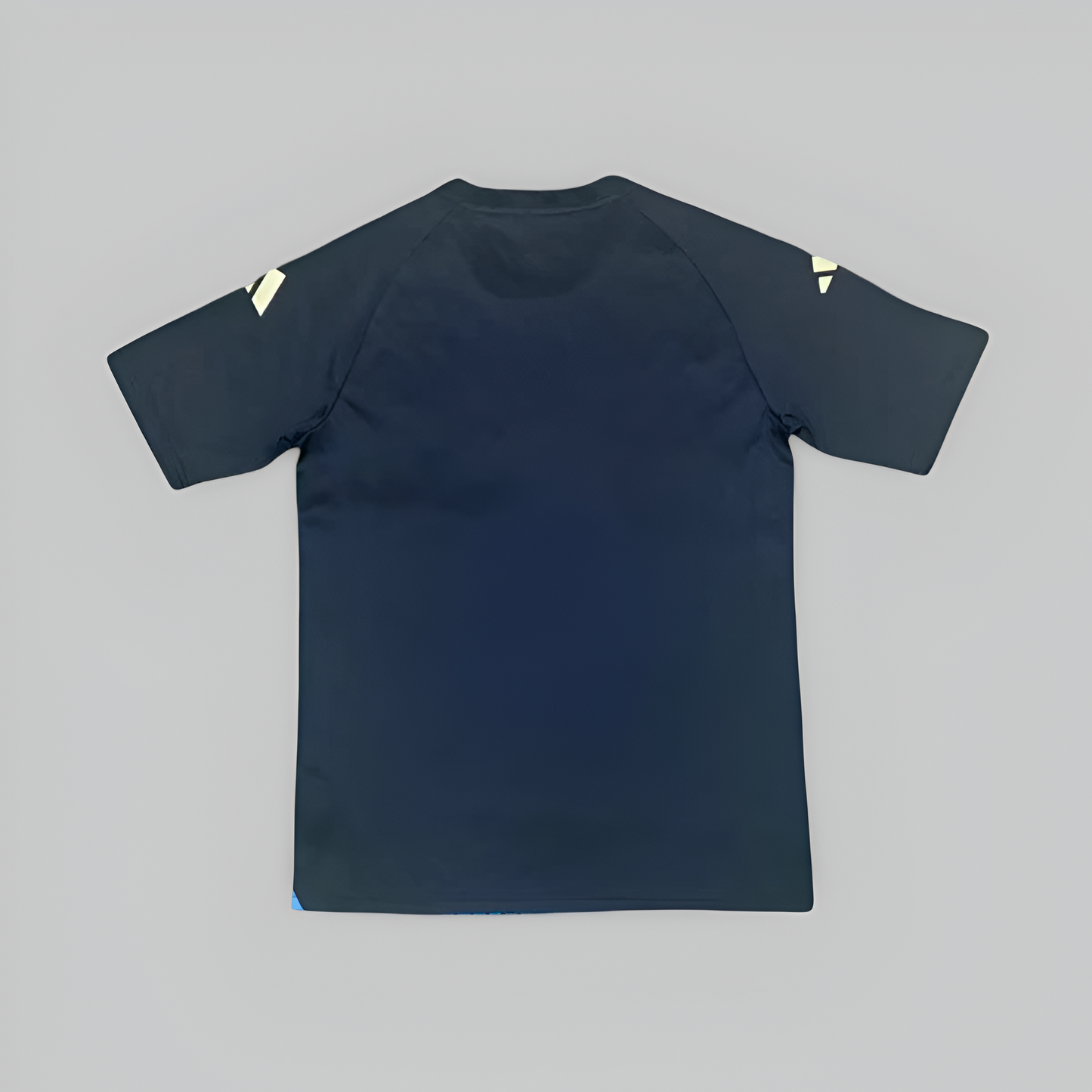 Argentina 24/25 Training Kit