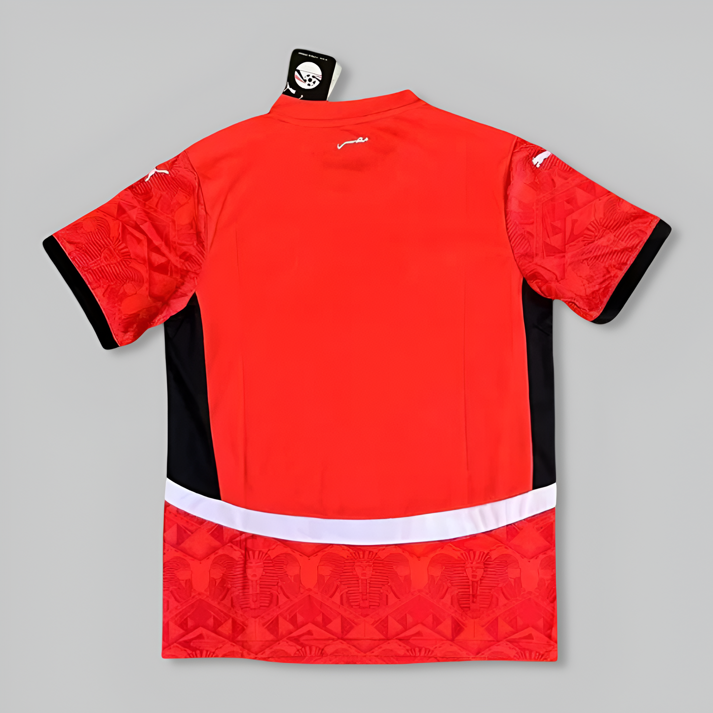 Egypt 24/25 Home Kit